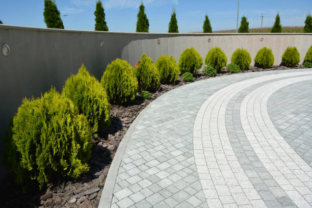 Best Concrete Paver Driveway  in Burney, CA